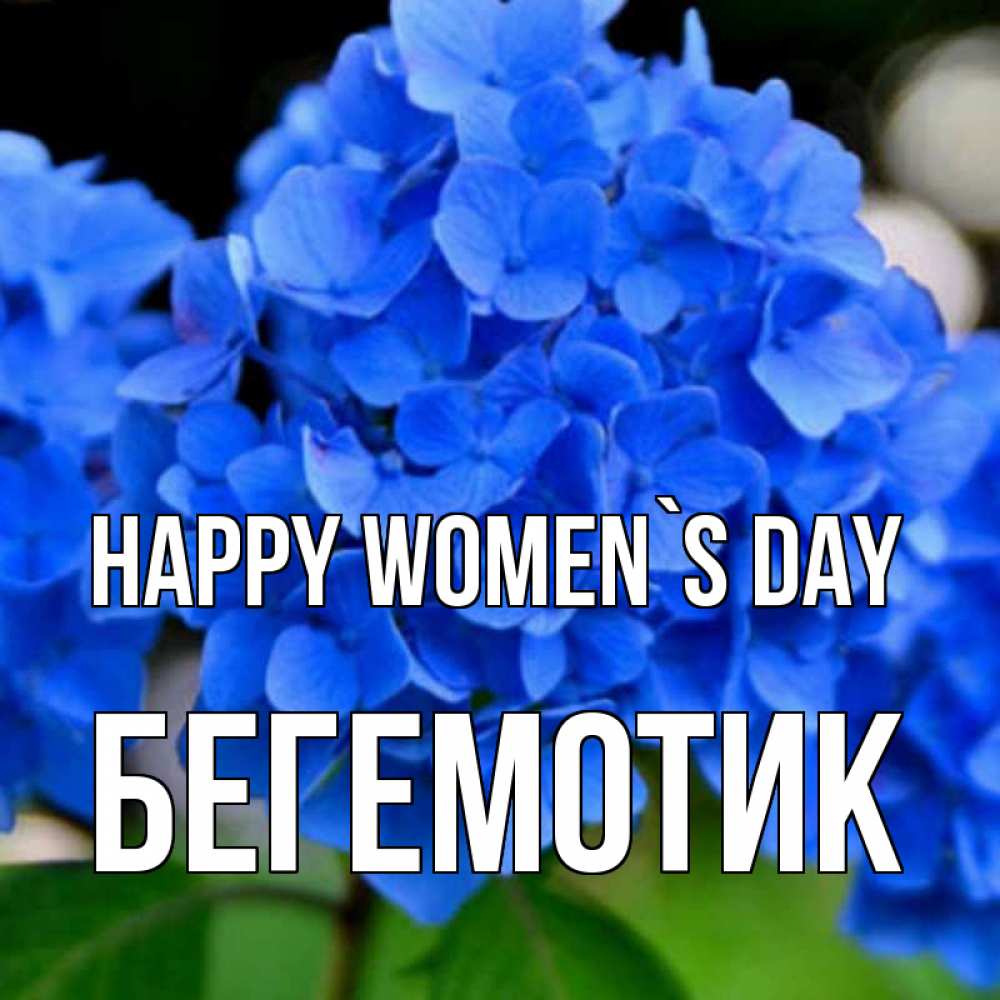 Greetings card с именем, Бегемотик happy women`s day синие цветы Greetings with text for free download 
